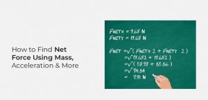 How to Find Net