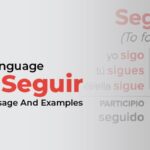 seguir preterite conjugation