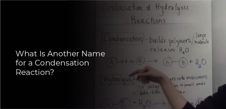 What Is Another Name For A Condensation Reaction