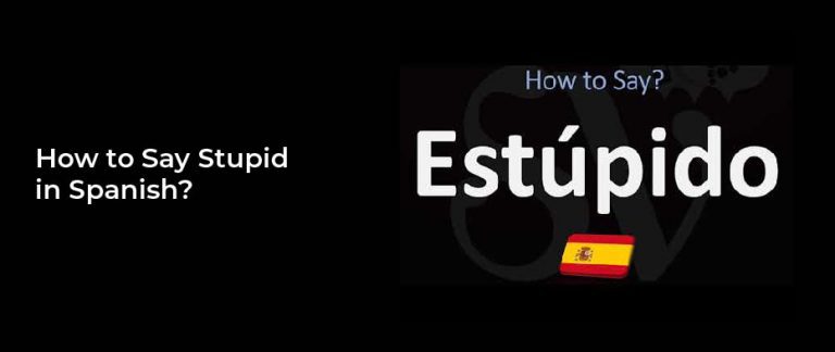 How To Say Stupid In Spanish