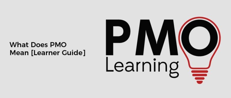 what-does-pmo-mean-learner-guide