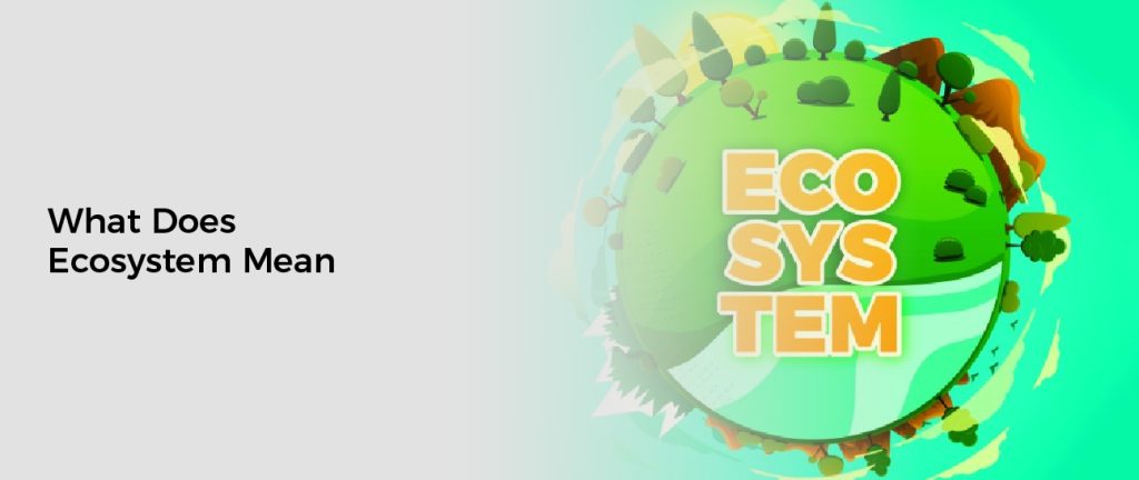 What Does Ecosystem Mean