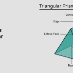 how many bases does a triangular prism have