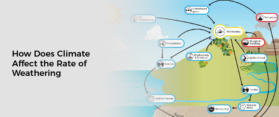 How Does Climate Affect the Rate of Weathering