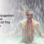 Reunirse Conjugation