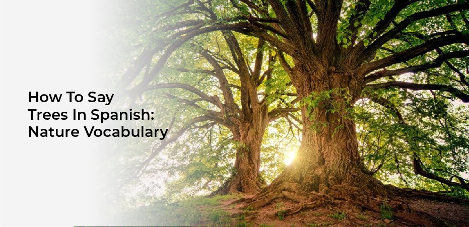 How To Say Trees In Spanish: Nature Vocabulary