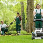 Invest in a Lawn Care Package