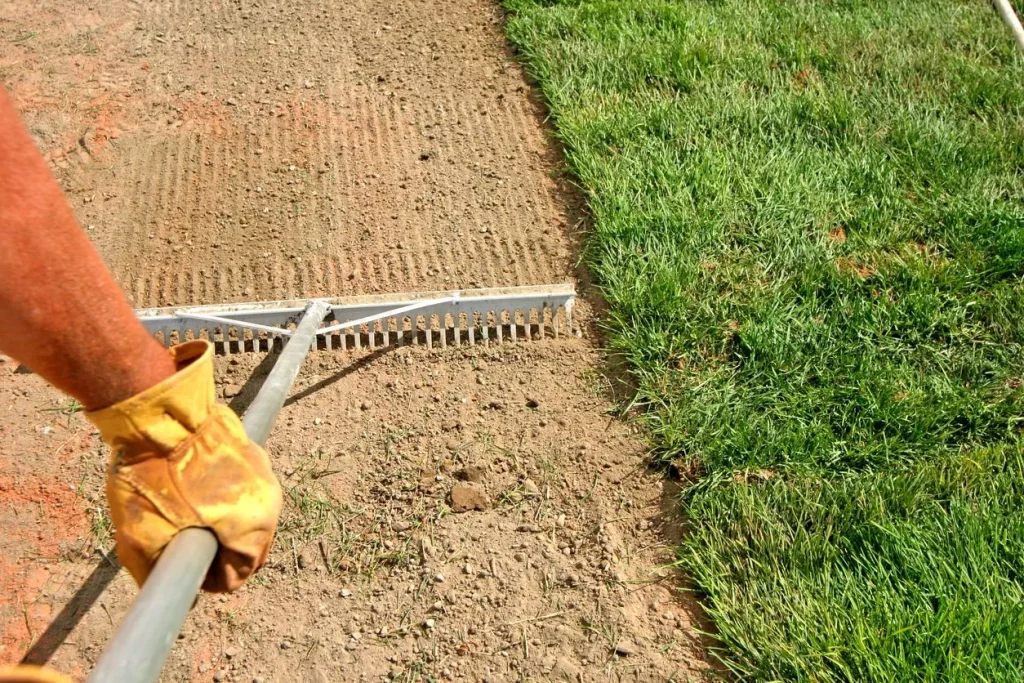 Sodding – The Easy Way to Transform Your Yard