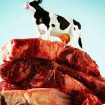 What Is Carne De Res in English