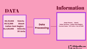 What Is Data Converted Into a Meaningful and Useful Context