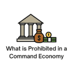 What Is Prohibited in a Command Economy