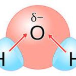 Determining Polar Molecules