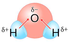 Determining Polar Molecules: Chemistry Basics Explained