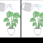 Identifying the Independent Variable in an Experiment