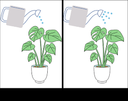 Identifying the Independent Variable in an Experiment: Key Concepts